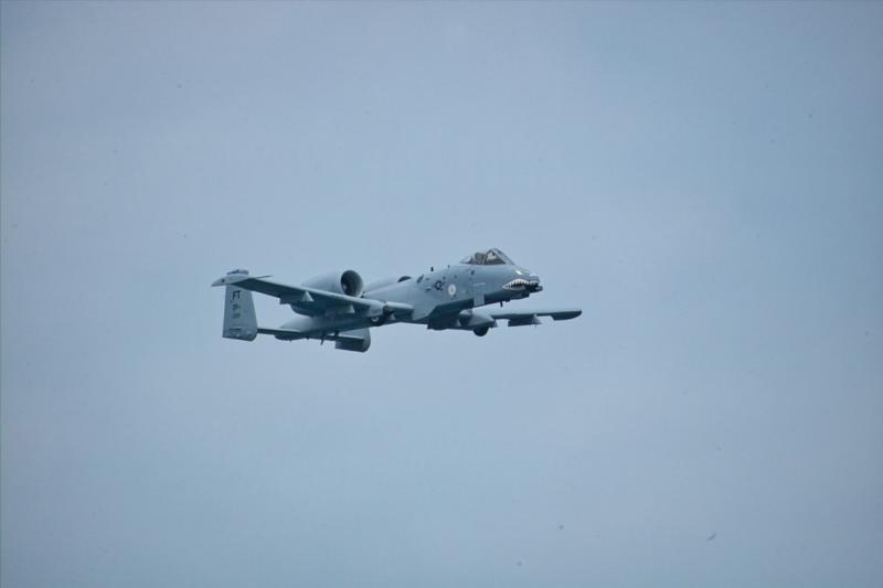 A-10 Warthong Tank Buster