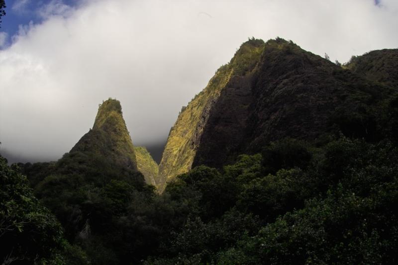 IAO Needle