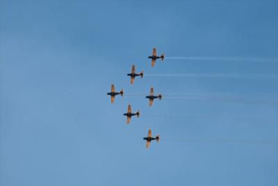 IMG03540.jpg