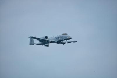 A-10 Warthong Tank Buster