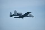 A-10 Warthong Tank Buster