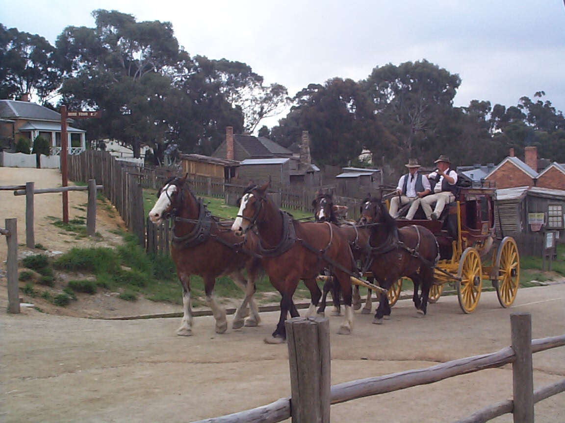 Uncomfy, loud taxi ride with BEAUTIFUL horsies..