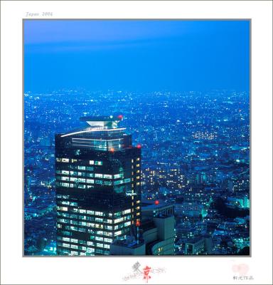 tokyo view 15.jpg