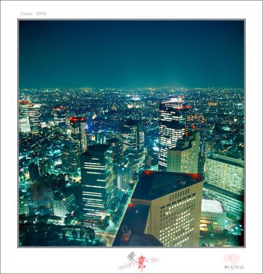 tokyo view 17.jpg