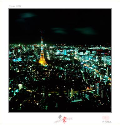 tokyo view 21.jpg