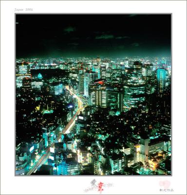 tokyo view 19.jpg