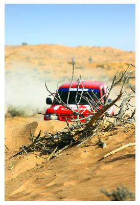 Consists of varied desert terrain...