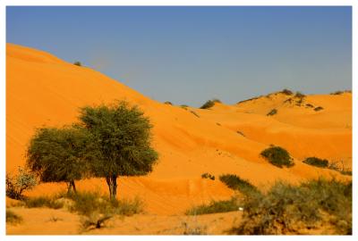 Some of the harshest conditions on earth