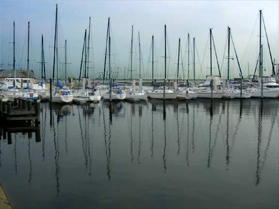 Naval Base Yachts