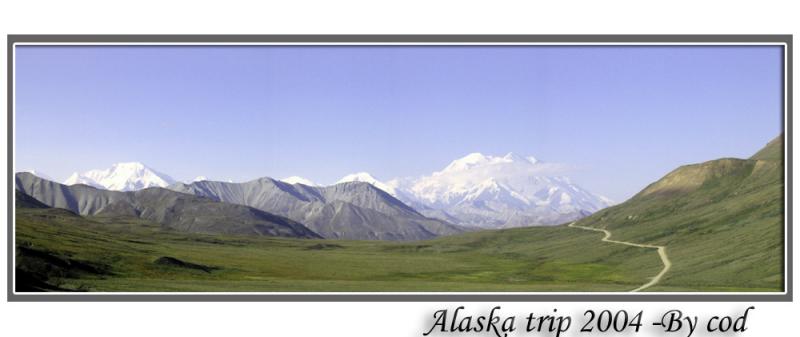 IMG_1565.jpg
