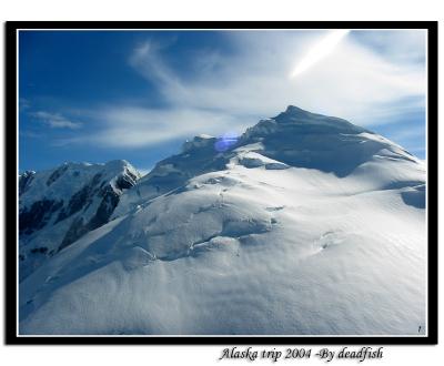 IMG_2338.jpg