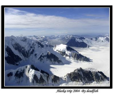 IMG_2348.jpg