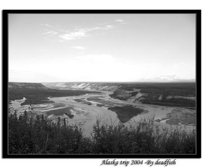 IMG_2726.jpg