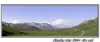 IMG_1565.jpg