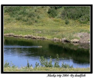 IMG_2529.jpg