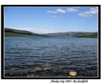 IMG_2533.jpg