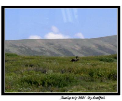 IMG_2553.jpg