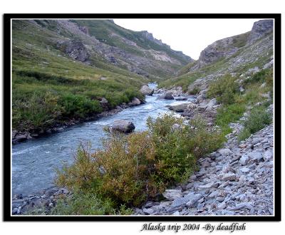 IMG_2628.jpg