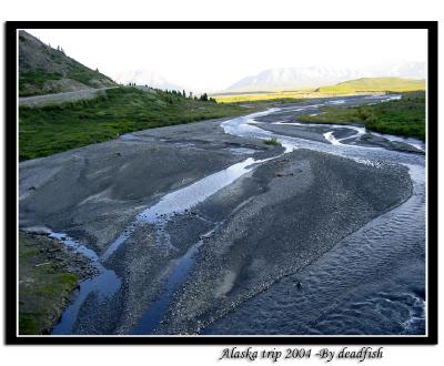 IMG_2637.jpg