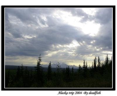 IMG_2708.jpg
