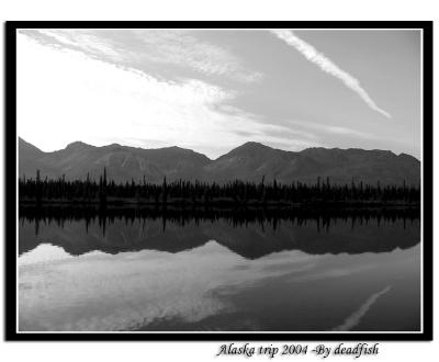 IMG_2645.jpg