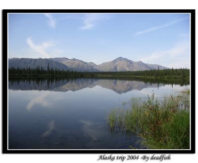 IMG_2646.jpg