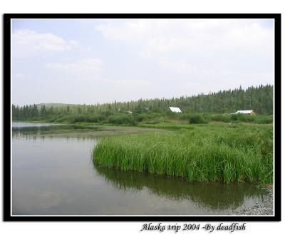 IMG_2694.jpg