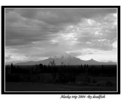 IMG_2699.jpg