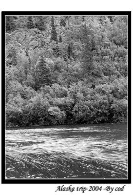 alaskapictures063.jpg