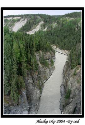 alaskapictures070.jpg