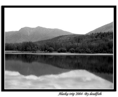 IMG_2794.jpg
