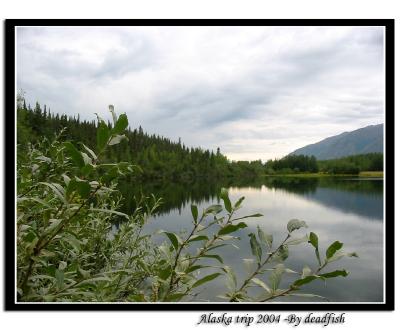 IMG_2800.jpg
