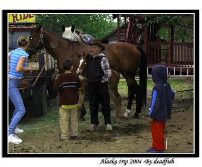 IMG_2823.jpg