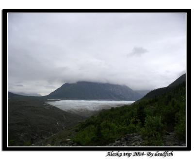 IMG_2824.jpg