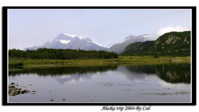 alaskapictures118.jpg