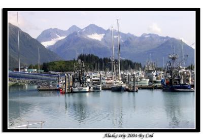 alaskapictures131.jpg