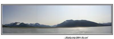 IMG_1572.jpg