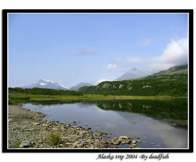 IMG_2892.jpg