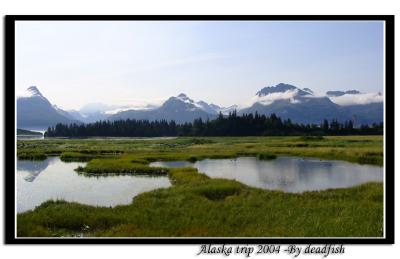 IMG_2913.jpg