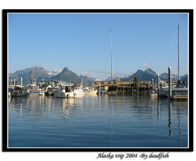 IMG_2934.jpg