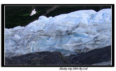 alaskapictures161.jpg