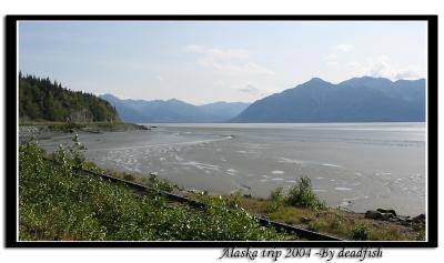 IMG_3018.jpg