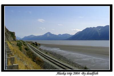 IMG_3039.jpg