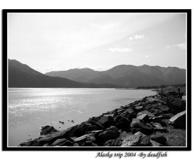 IMG_3048.jpg