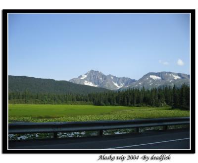 IMG_3094.jpg