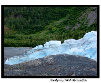 IMG_3121.jpg
