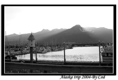 alaskapictures171.jpg