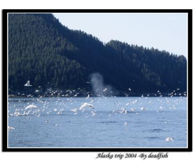 IMG_3423.jpg