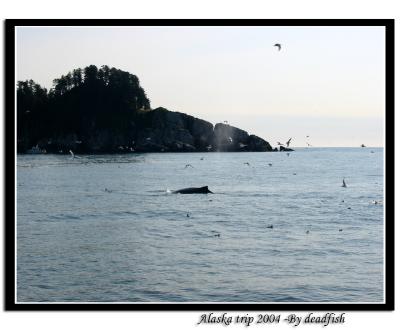 IMG_3429.jpg
