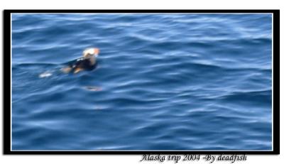 IMG_3432.jpg